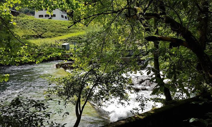 Gasthaus "Seealm Koenigssee"